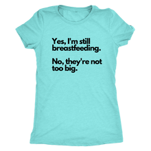 Load image into Gallery viewer, Aubrey &quot;Yes, I&#39;m still breastfeeding&quot; tee